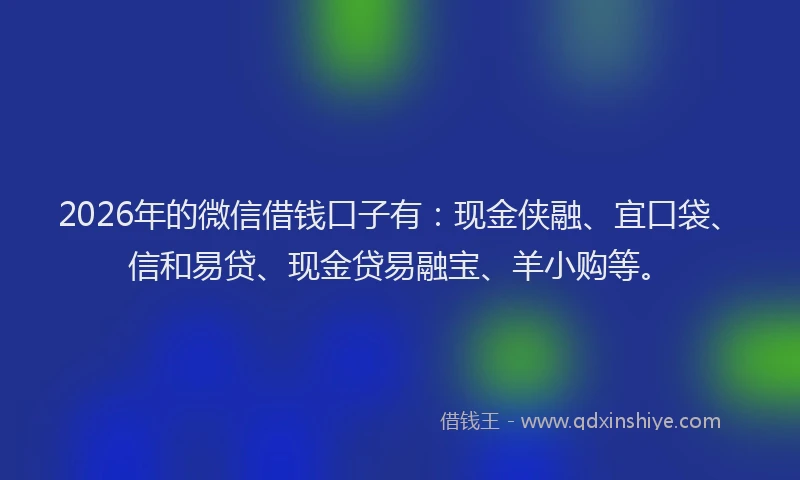 2026年的微信借钱口子有：现金侠融、宜口袋、信和易贷、现金贷易融宝、羊小购等。