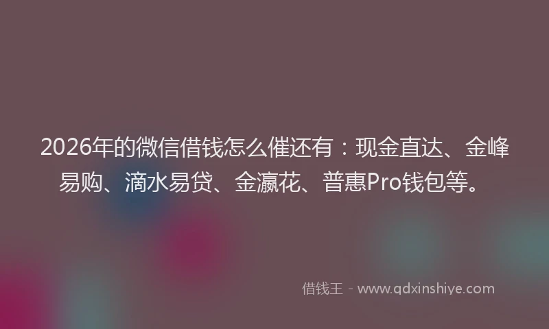 2026年的微信借钱怎么催还有：现金直达、金峰易购、滴水易贷、金瀛花、普惠Pro钱包等。