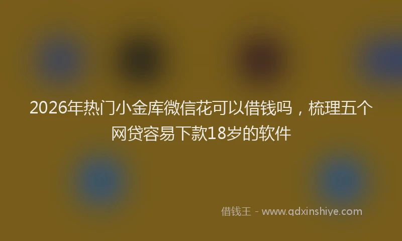 2026年热门小金库微信花可以借钱吗，梳理五个网贷容易下款18岁的软件