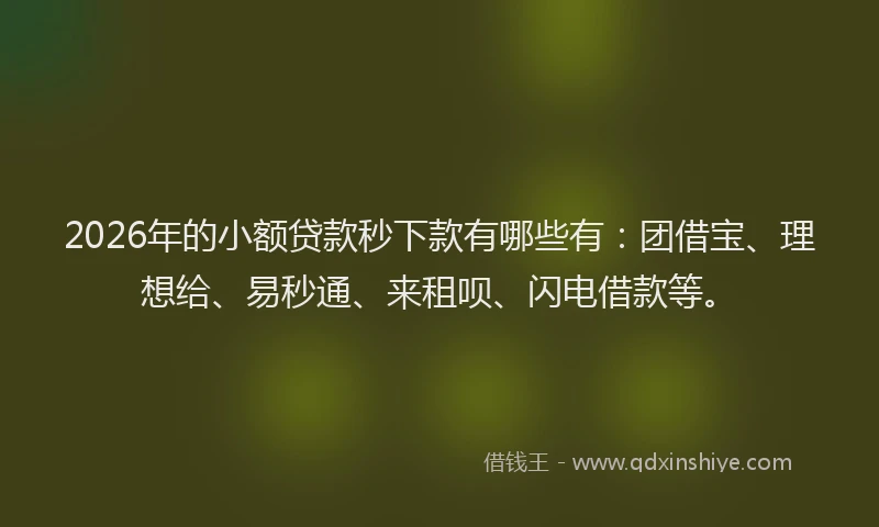 2026年的小额贷款秒下款有哪些有:团借宝、理想给、易秒通、来租呗、闪电借款等。