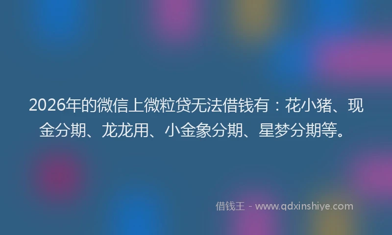 2026年的微信上微粒贷无法借钱有：花小猪、现金分期、龙龙用、小金象分期、星梦分期等。