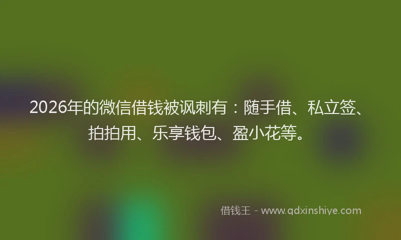 2026年的微信借钱被讽刺有：随手借、私立签、拍拍用、乐享钱包、盈小花等。