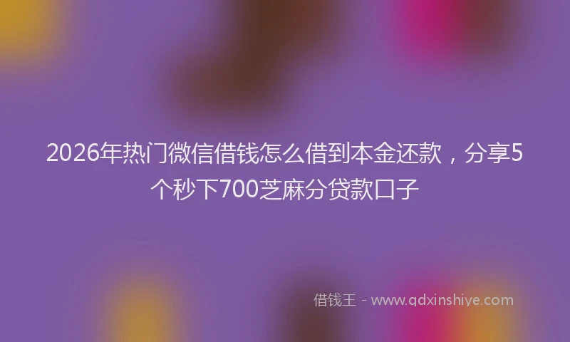 2026年热门微信借钱怎么借到本金还款，分享5个秒下700芝麻分贷款口子