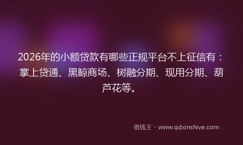 2026年的小额贷款有哪些正规平台不上征信有：掌上贷通、黑鲸商场、树融分期、现用分期、葫芦花等。