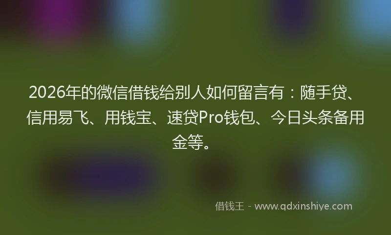 2026年的微信借钱给别人如何留言有：随手贷、信用易飞、用钱宝、速贷Pro钱包、今日头条备用金等。