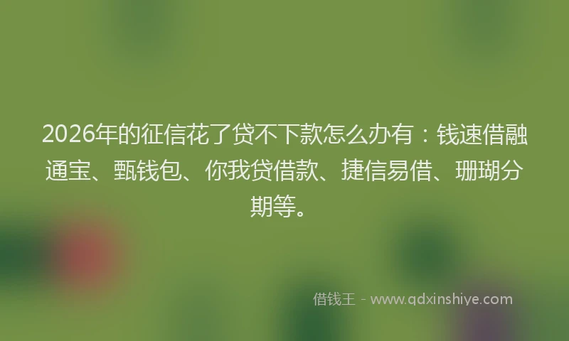 2026年的征信花了贷不下款怎么办有:钱速借融通宝、甄钱包、你我贷借款、捷信易借、珊瑚分期等。