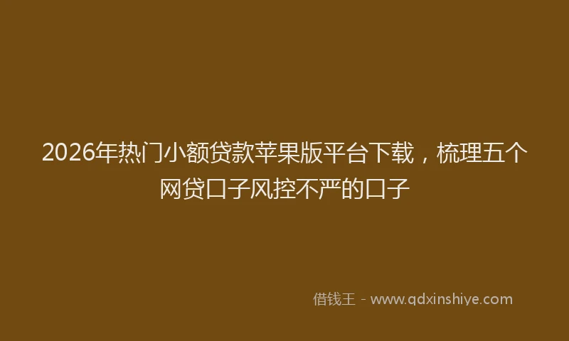 2026年热门小额贷款苹果版平台下载，梳理五个网贷口子风控不严的口子