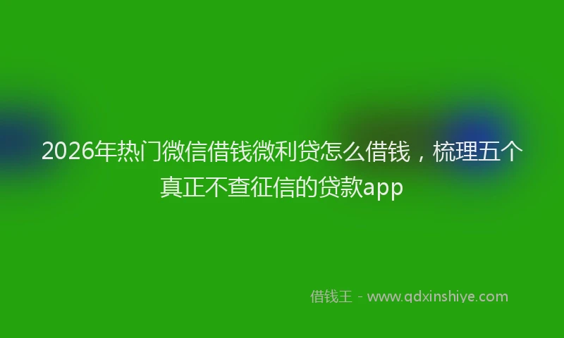 2026年热门微信借钱微利贷怎么借钱，梳理五个真正不查征信的贷款app