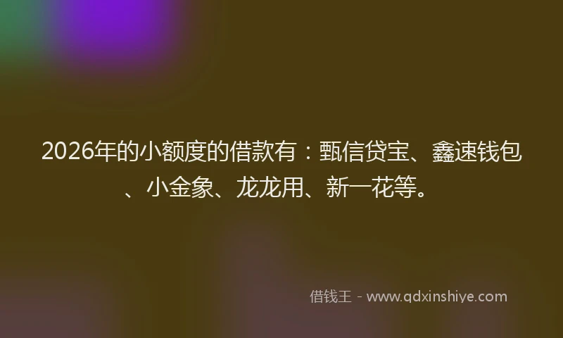 2026年的小额度的借款有：甄信贷宝、鑫速钱包、小金象、龙龙用、新一花等。