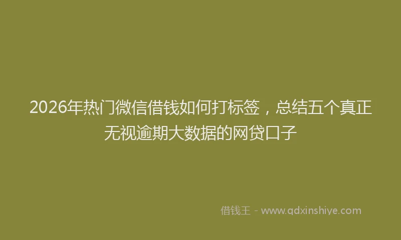 2026年热门微信借钱如何打标签，总结五个真正无视逾期大数据的网贷口子
