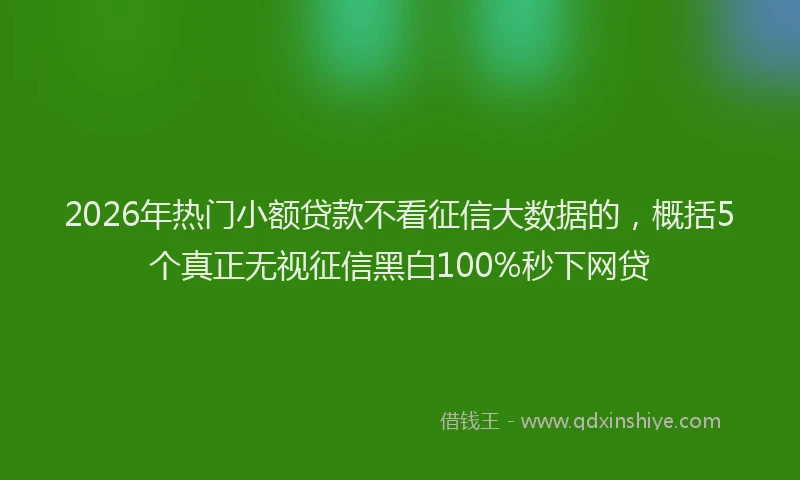 2026年热门小额贷款不看征信大数据的,概括5个真正无视征信黑白100%秒下网贷