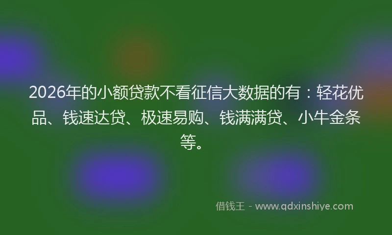 2026年的小额贷款不看征信大数据的有：轻花优品、钱速达贷、极速易购、钱满满贷、小牛金条等。