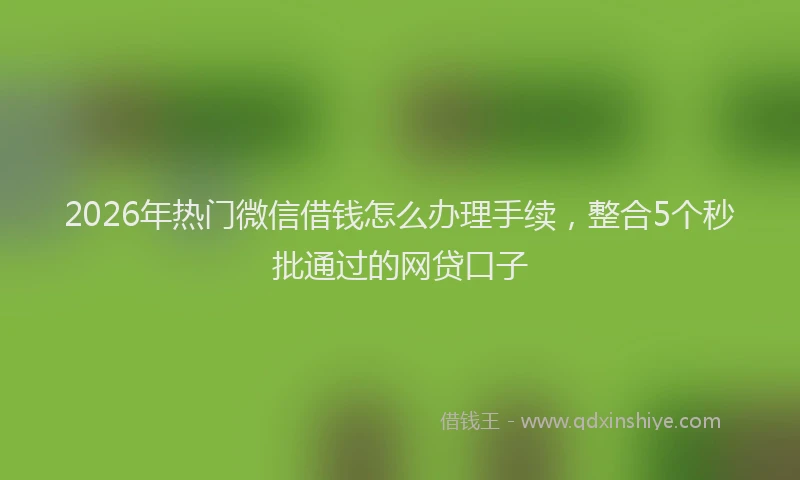 2026年热门微信借钱怎么办理手续，整合5个秒批通过的网贷口子