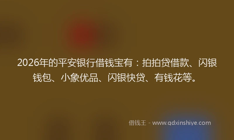 2026年的平安银行借钱宝有：拍拍贷借款、闪银钱包、小象优品、闪银快贷、有钱花等。