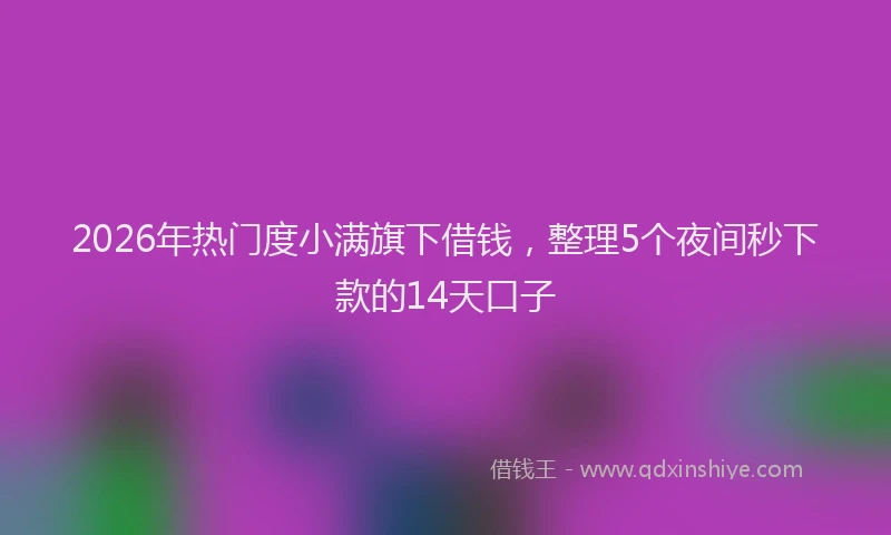 2026年热门度小满旗下借钱,整理5个夜间秒下款的14天口子