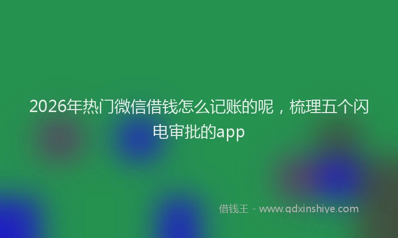 2026年热门微信借钱怎么记账的呢，梳理五个闪电审批的app