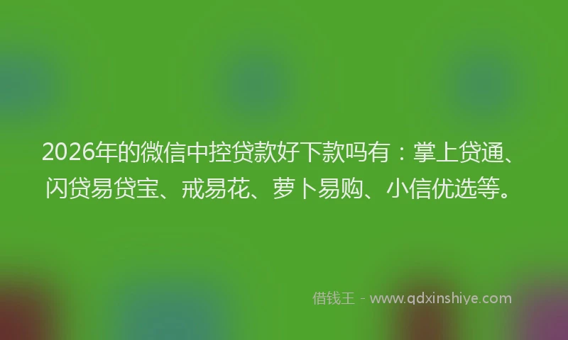 2026年的微信中控贷款好下款吗有：掌上贷通、闪贷易贷宝、戒易花、萝卜易购、小信优选等。