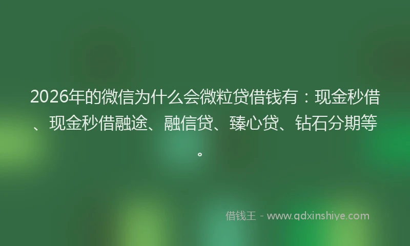 2026年的微信为什么会微粒贷借钱有：现金秒借、现金秒借融途、融信贷、臻心贷、钻石分期等。