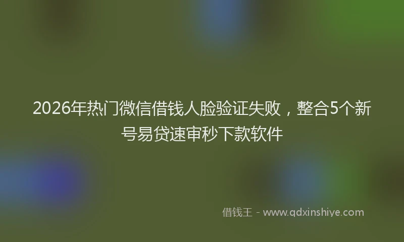 2026年热门微信借钱人脸验证失败，整合5个新号易贷速审秒下款软件