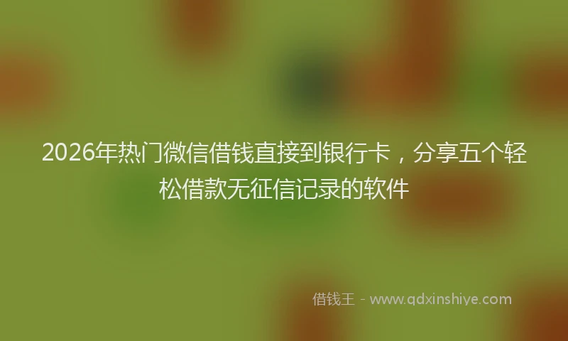2026年热门微信借钱直接到银行卡，分享五个轻松借款无征信记录的软件