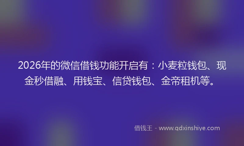 2026年的微信借钱功能开启有：小麦粒钱包、现金秒借融、用钱宝、信贷钱包、金帝租机等。