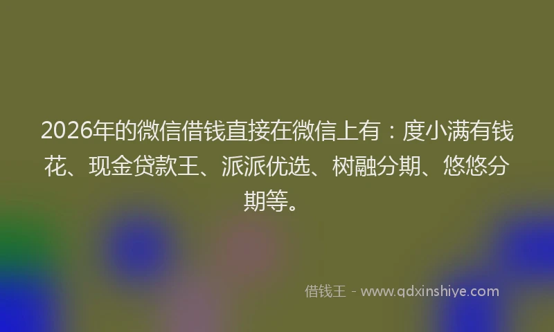 2026年的微信借钱直接在微信上有：度小满有钱花、现金贷款王、派派优选、树融分期、悠悠分期等。