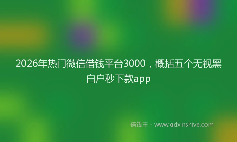 2026年热门微信借钱平台3000，概括五个无视黑白户秒下款app