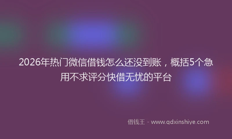 2026年热门微信借钱怎么还没到账，概括5个急用不求评分快借无忧的平台
