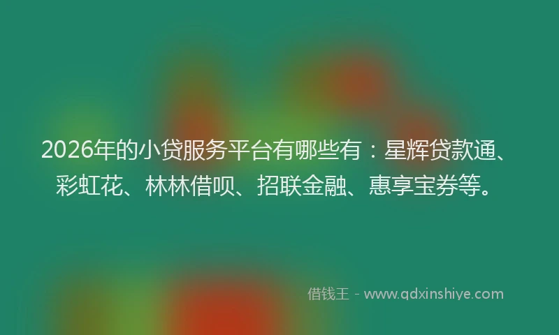 2026年的小贷服务平台有哪些有：星辉贷款通、彩虹花、林林借呗、招联金融、惠享宝券等。