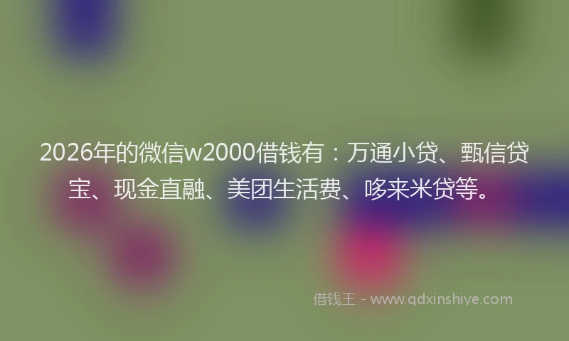 2026年的微信w2000借钱有：万通小贷、甄信贷宝、现金直融、美团生活费、哆来米贷等。