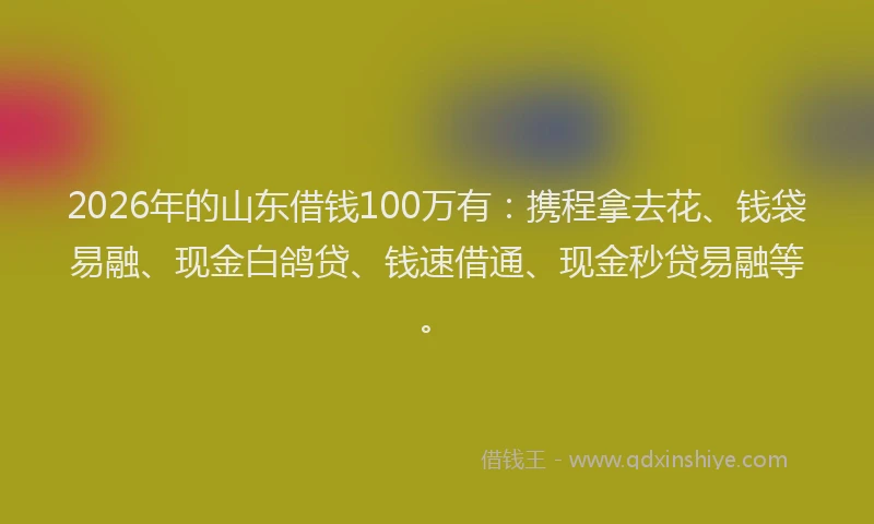 2026年的山东借钱100万有：携程拿去花、钱袋易融、现金白鸽贷、钱速借通、现金秒贷易融等。