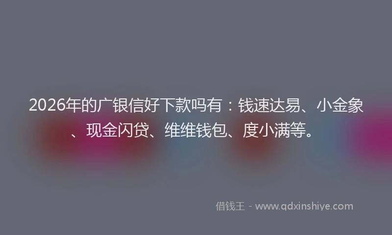 2026年的广银信好下款吗有：钱速达易、小金象、现金闪贷、维维钱包、度小满等。