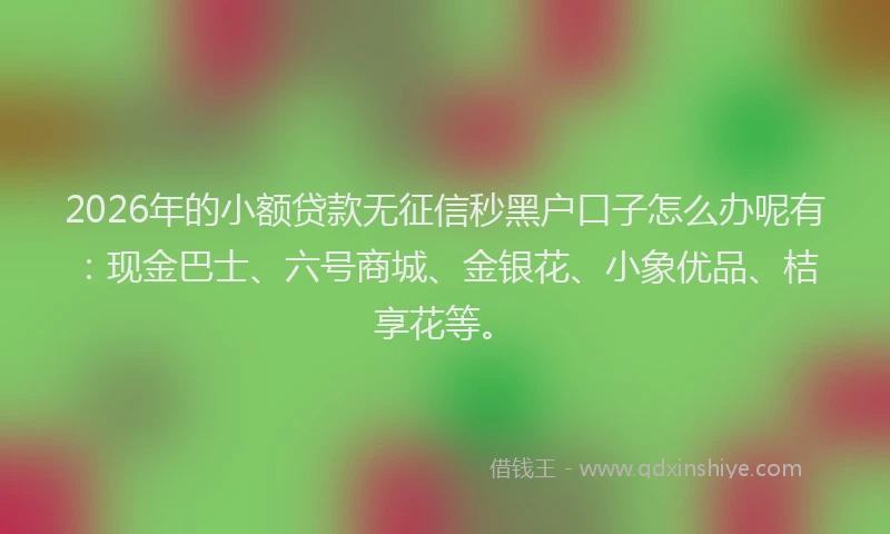 2026年的小额贷款无征信秒黑户口子怎么办呢有：现金巴士、六号商城、金银花、小象优品、桔享花等。