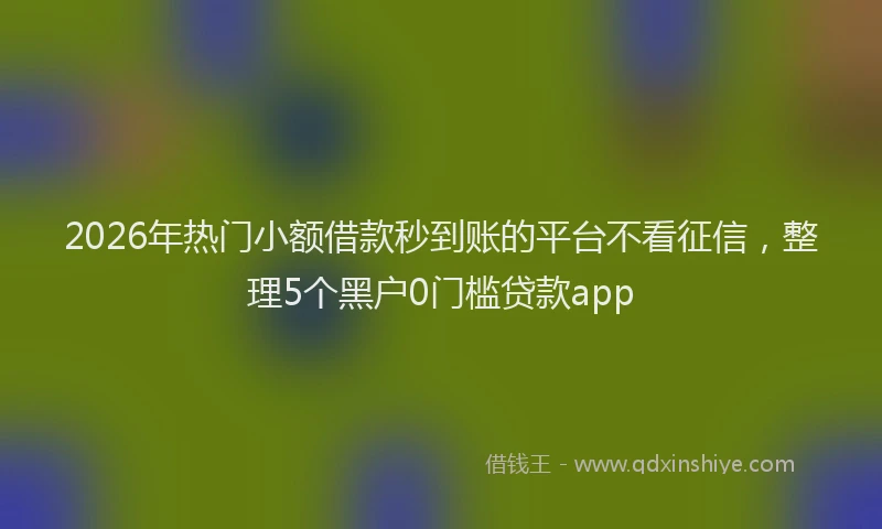 2026年热门小额借款秒到账的平台不看征信，整理5个黑户0门槛贷款app