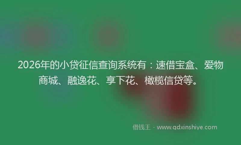 2026年的小贷征信查询系统有：速借宝盒、爱物商城、融逸花、享下花、橄榄信贷等。