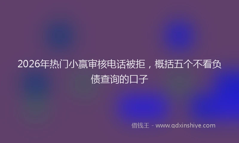 2026年热门小赢审核电话被拒，概括五个不看负债查询的口子