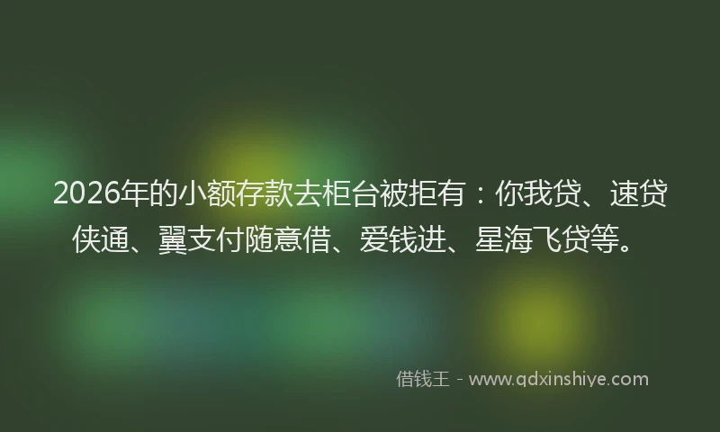 2026年的小额存款去柜台被拒有：你我贷、速贷侠通、翼支付随意借、爱钱进、星海飞贷等。