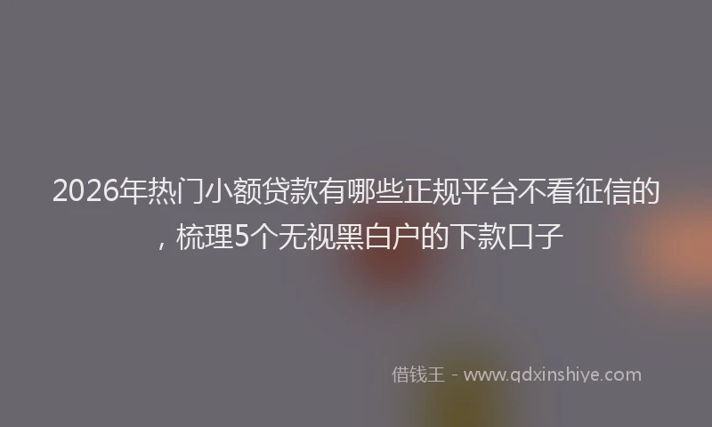 2026年热门小额贷款有哪些正规平台不看征信的，梳理5个无视黑白户的下款口子