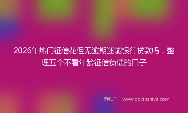 2026年热门征信花但无逾期还能银行贷款吗，整理五个不看年龄征信负债的口子