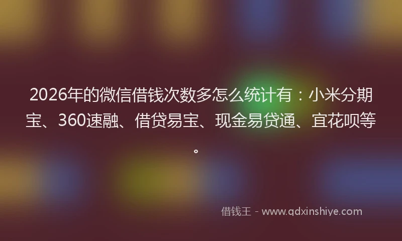2026年的微信借钱次数多怎么统计有:小米分期宝、360速融、借贷易宝、现金易贷通、宜花呗等。