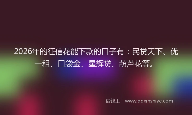 2026年的征信花能下款的口子有：民贷天下、优一租、口袋金、星辉贷、葫芦花等。