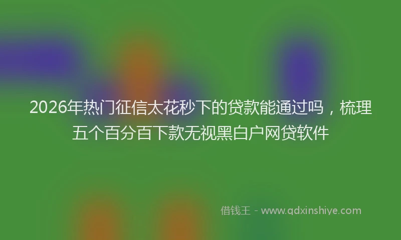 2026年热门征信太花秒下的贷款能通过吗，梳理五个百分百下款无视黑白户网贷软件
