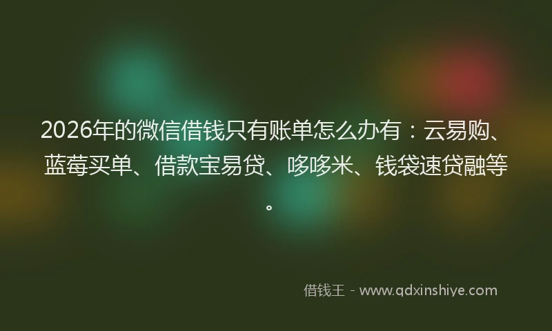 2026年的微信借钱只有账单怎么办有:云易购、蓝莓买单、借款宝易贷、哆哆米、钱袋速贷融等。