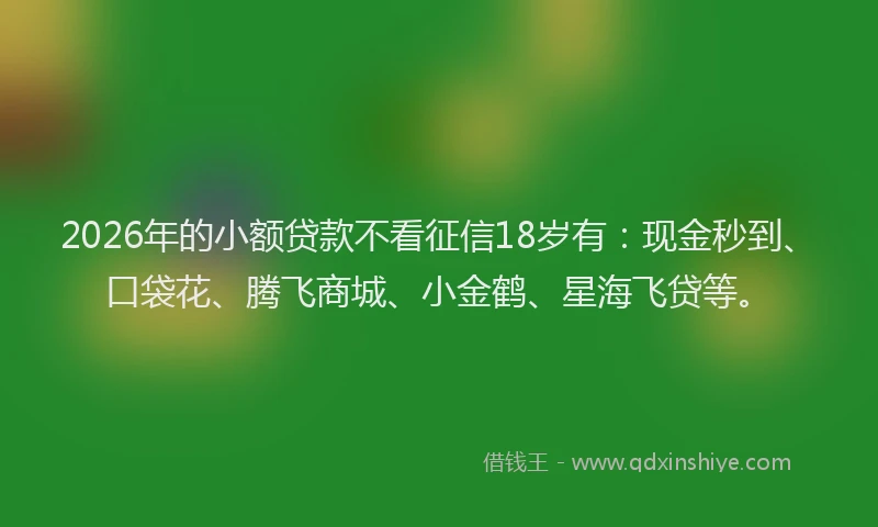 2026年的小额贷款不看征信18岁有：现金秒到、口袋花、腾飞商城、小金鹤、星海飞贷等。
