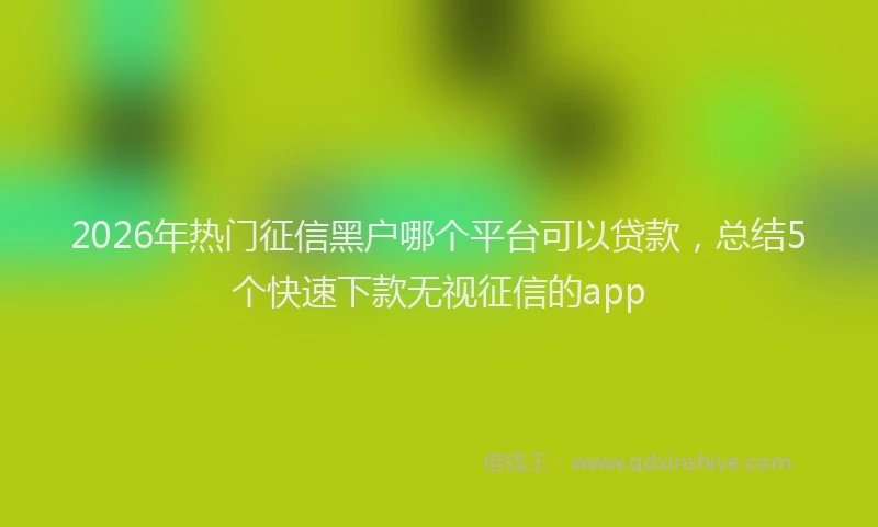 2026年热门征信黑户哪个平台可以贷款，总结5个快速下款无视征信的app