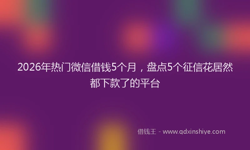 2026年热门微信借钱5个月，盘点5个征信花居然都下款了的平台