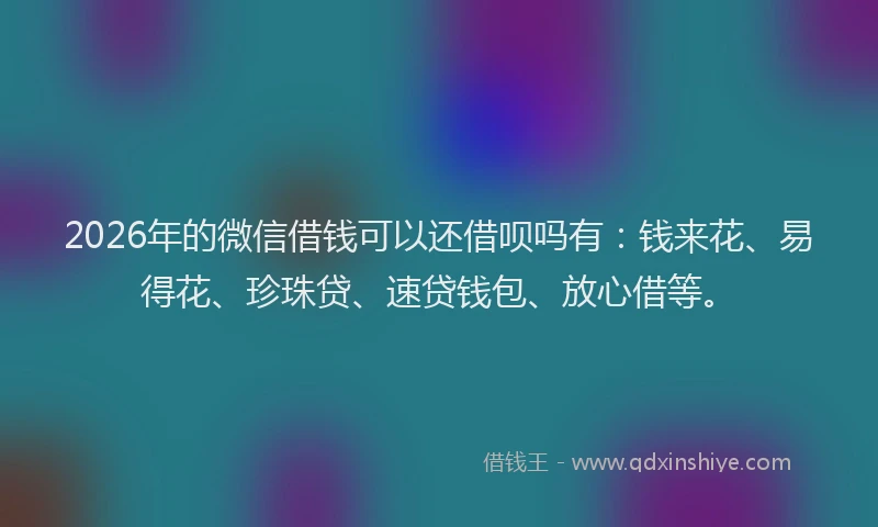 2026年的微信借钱可以还借呗吗有：钱来花、易得花、珍珠贷、速贷钱包、放心借等。