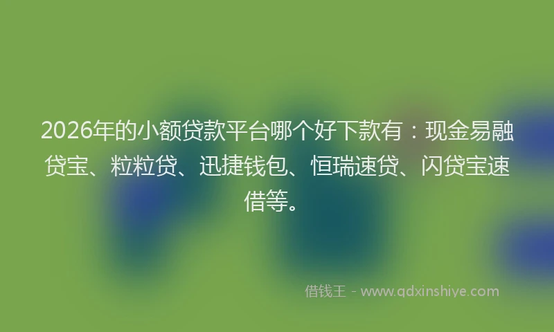 2026年的小额贷款平台哪个好下款有：现金易融贷宝、粒粒贷、迅捷钱包、恒瑞速贷、闪贷宝速借等。