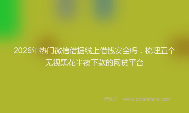 2026年热门微信借据线上借钱安全吗,梳理五个无视黑花半夜下款的网贷平台