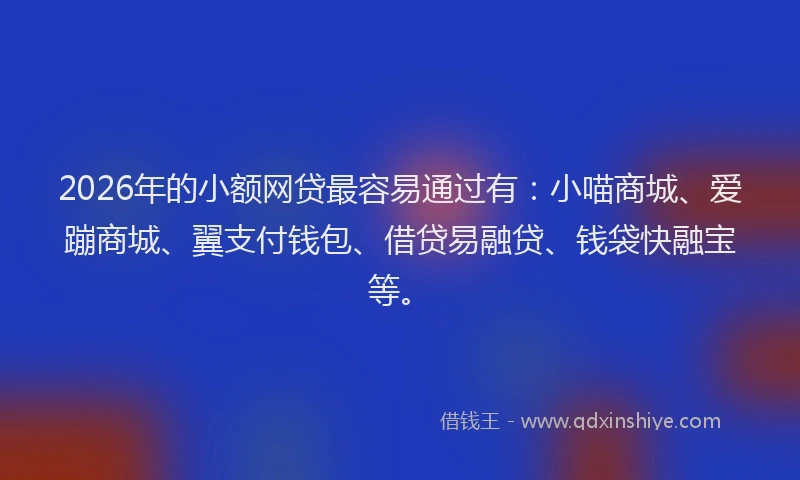 2026年的小额网贷最容易通过有：小喵商城、爱蹦商城、翼支付钱包、借贷易融贷、钱袋快融宝等。